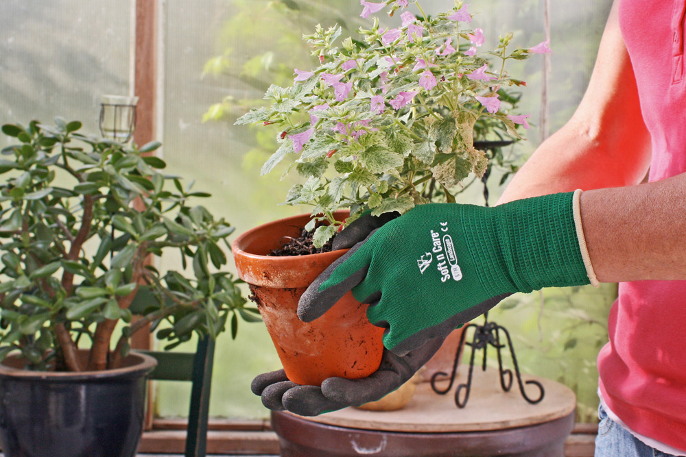 Anwendungsbeispiel Gartenhandschuh Soft N Care Landscape in grün