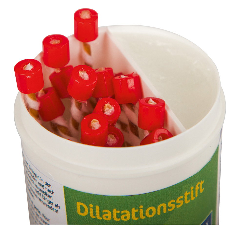 Dilatationsstifte in Trennfach-Dose